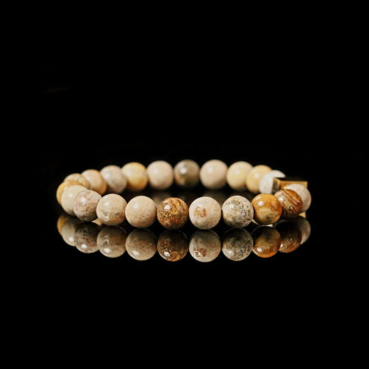 Fossilized Coral natural fossil patterns detail - unique earth tone gemstone 8mm