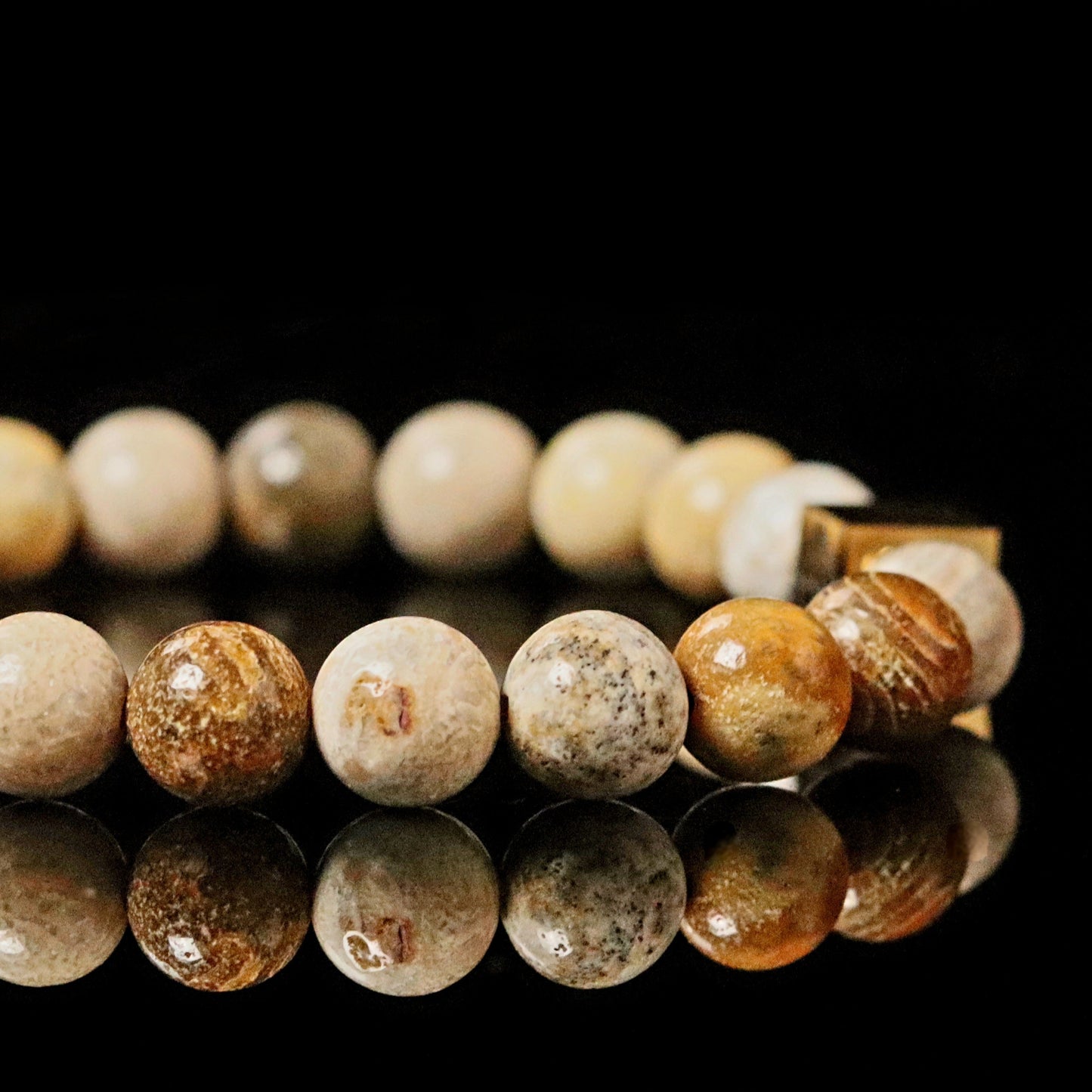 Close-up Fossilized Coral stones - natural fossil patterns beige honey brown 8mm beads