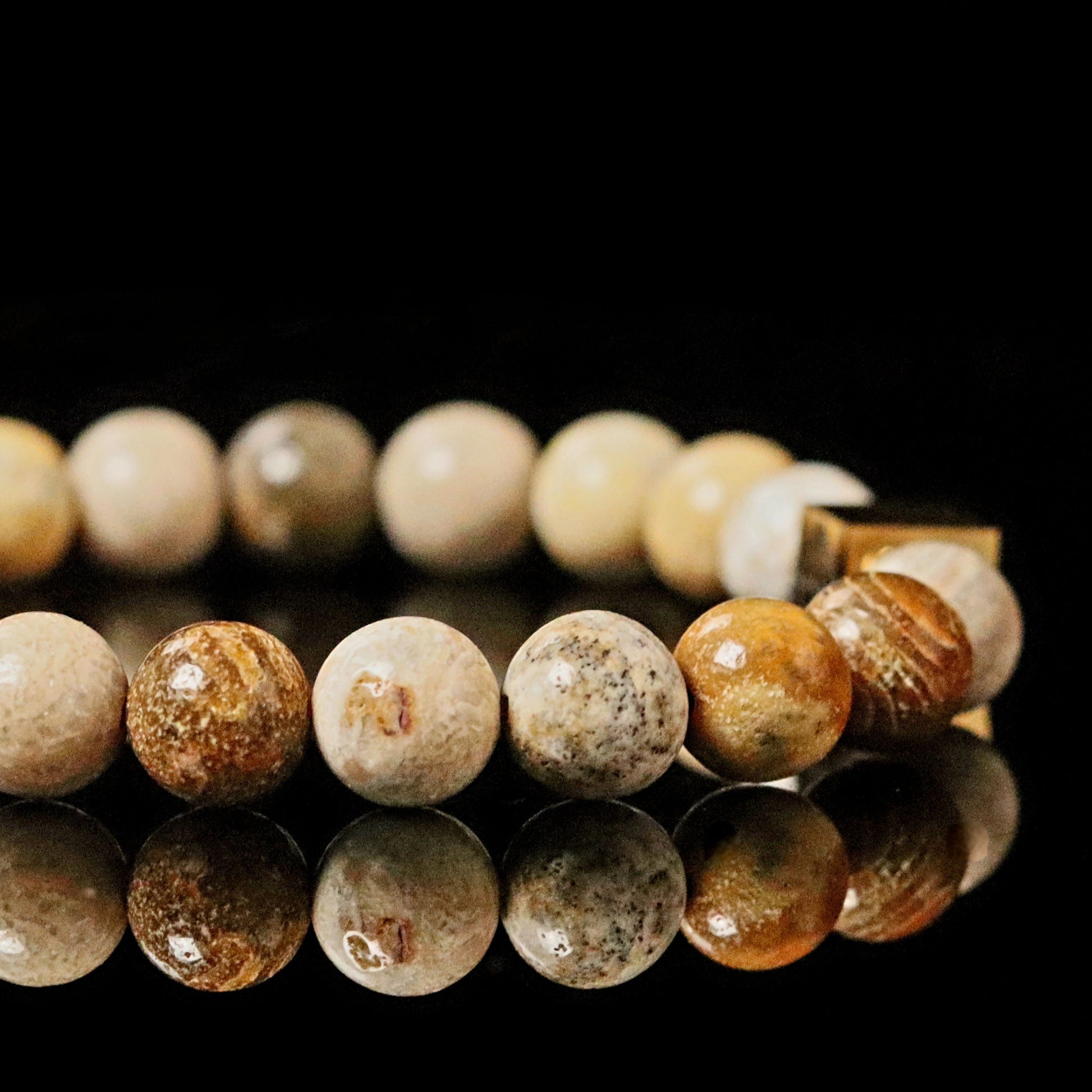 Close-up Fossilized Coral stones - natural fossil patterns beige honey brown 8mm beads